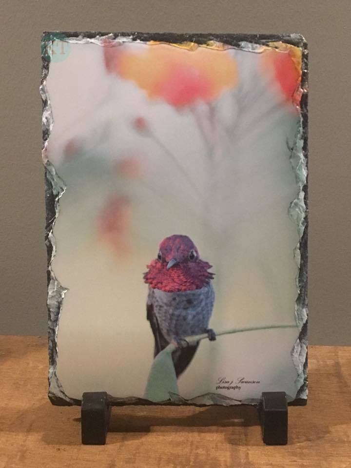 Hummingbird Small Slate