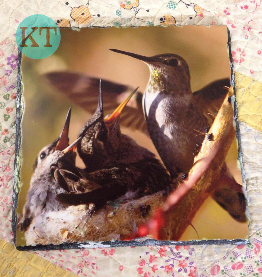 Hummingbird Square Slate