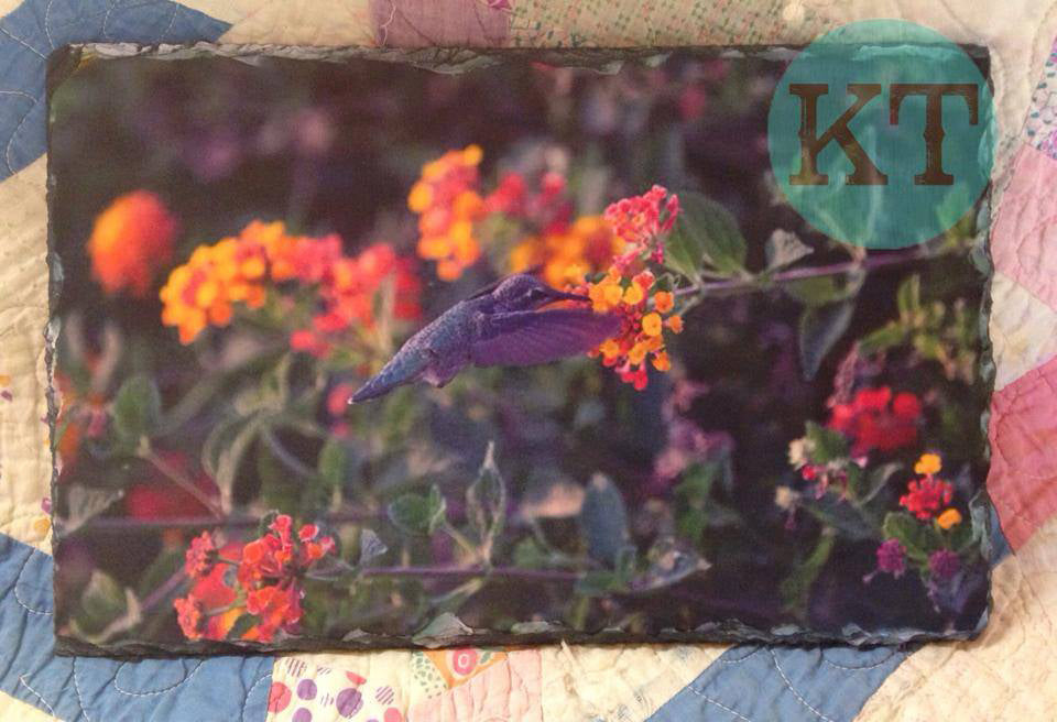 Hummingbird Large Slate