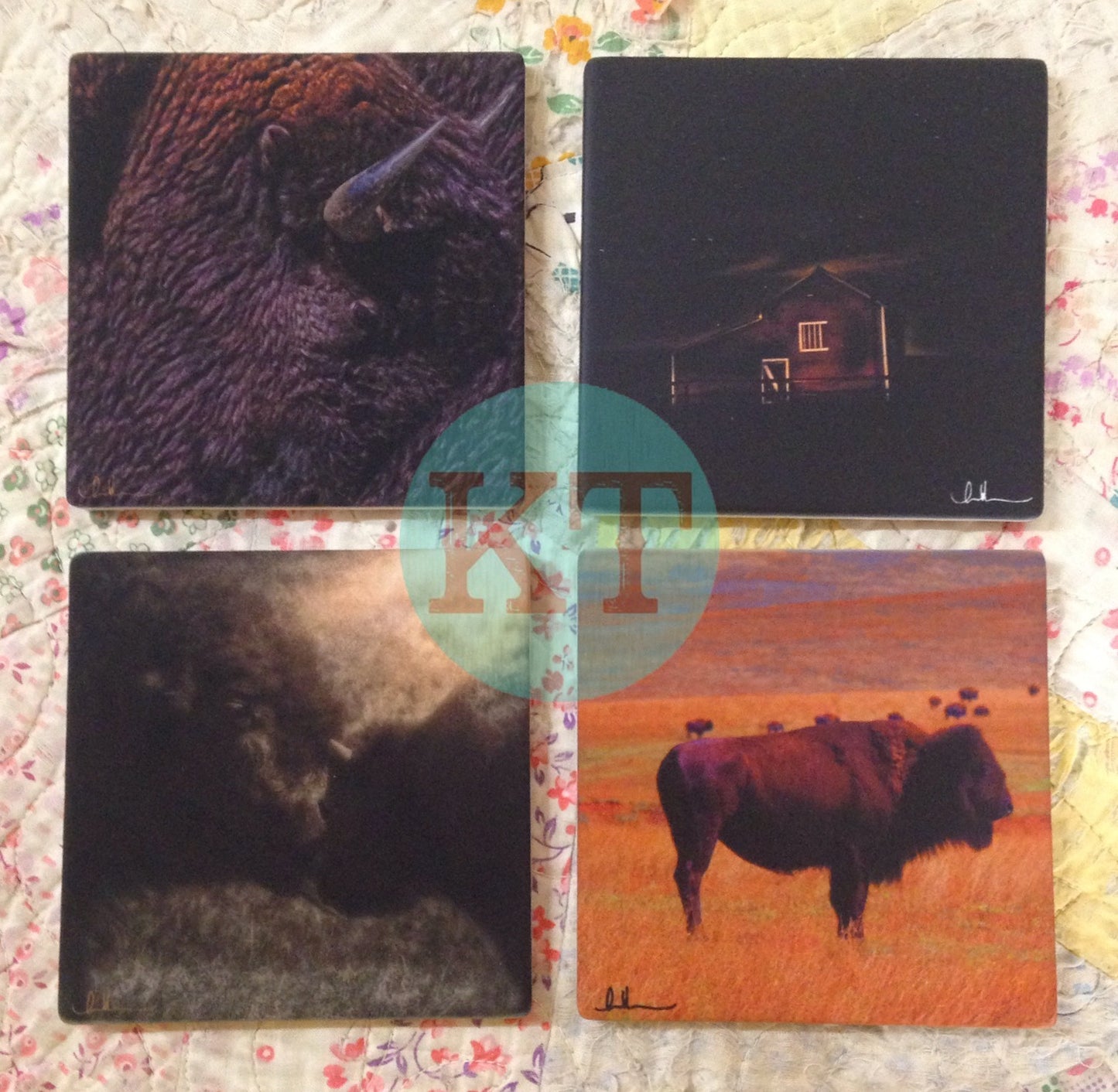 Bison Coasters - Barn Coaster