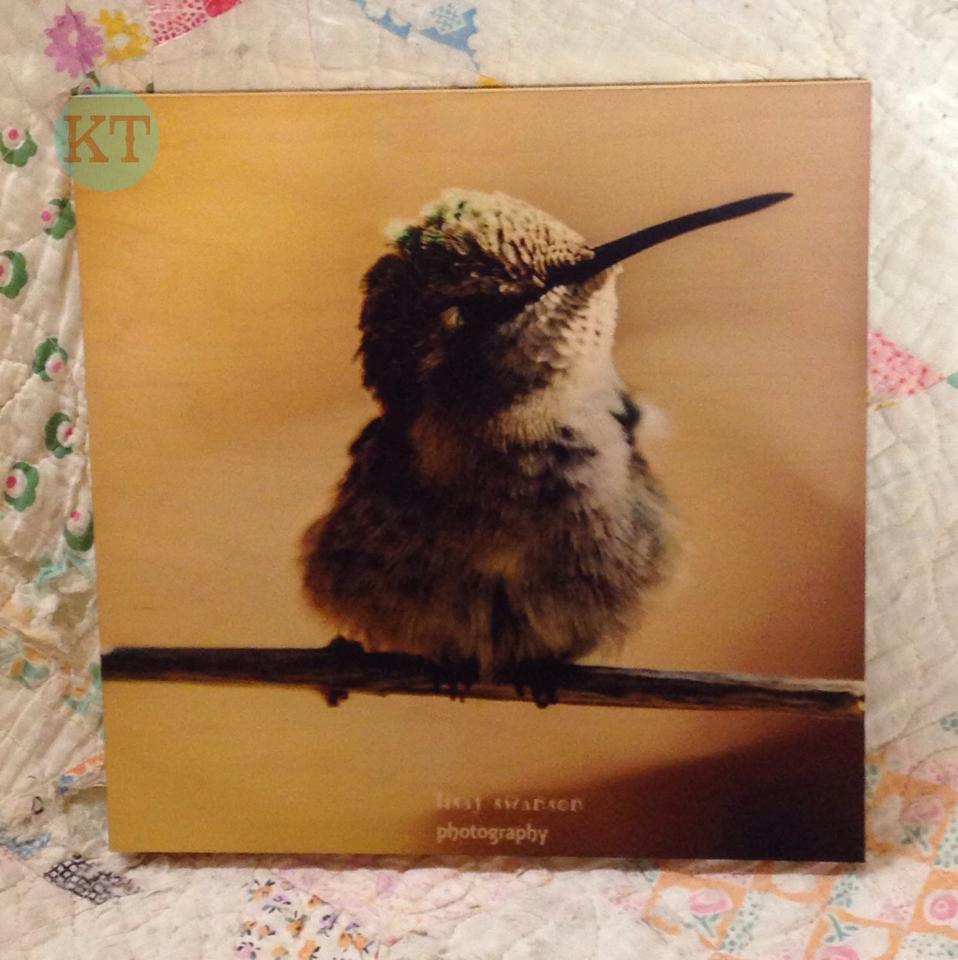 Baby Hummingbird Wood Wall Hanging