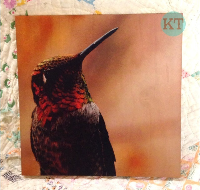 Hummingbird Wood Wall Hanging