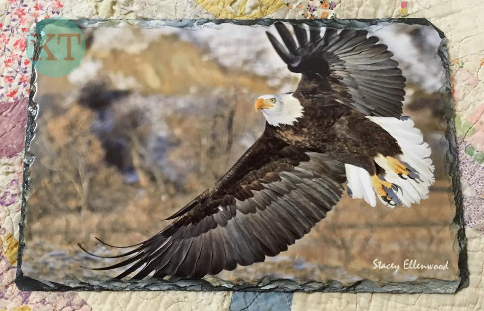 Eagle Large Slate