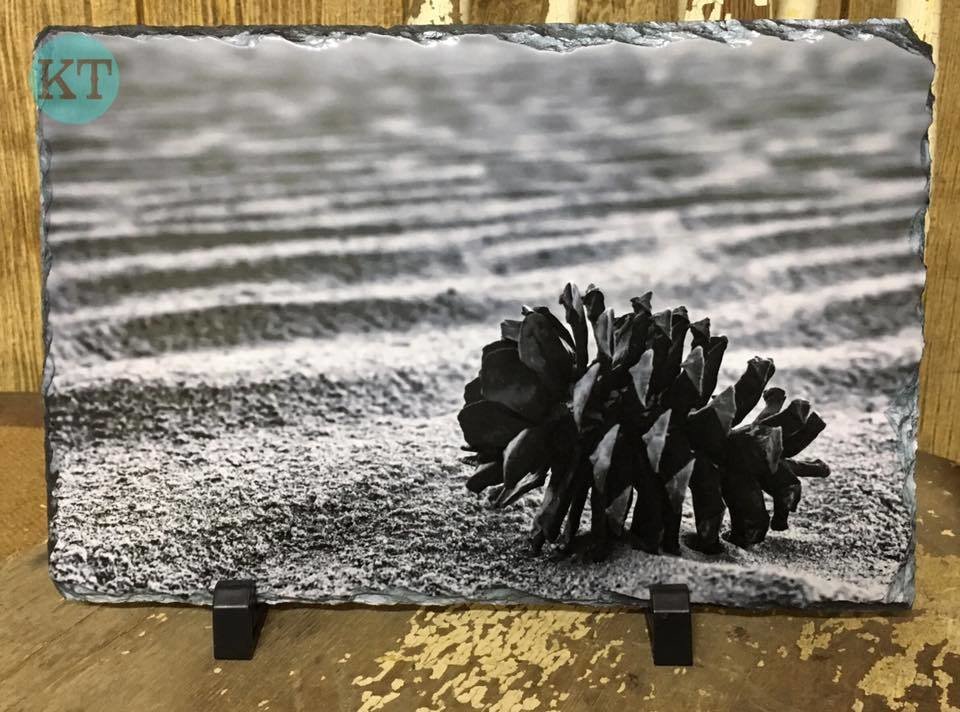 Pine Cone Large Slate