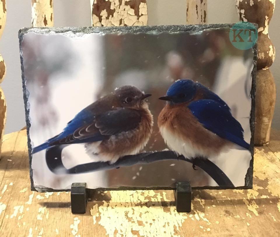 Blue Birds Small Slate