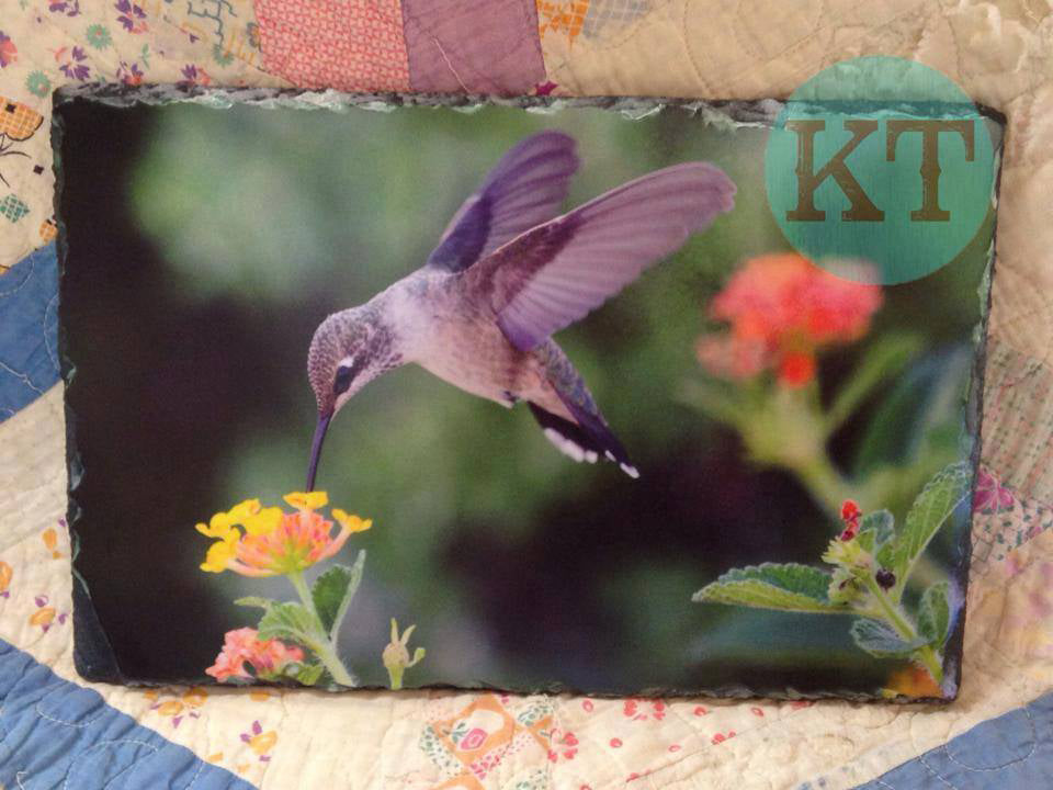 Hummingbird Large Slate