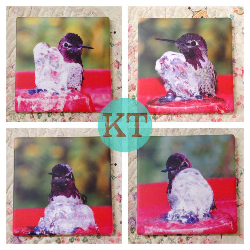 Hummingbird Coasters - Set Of Four