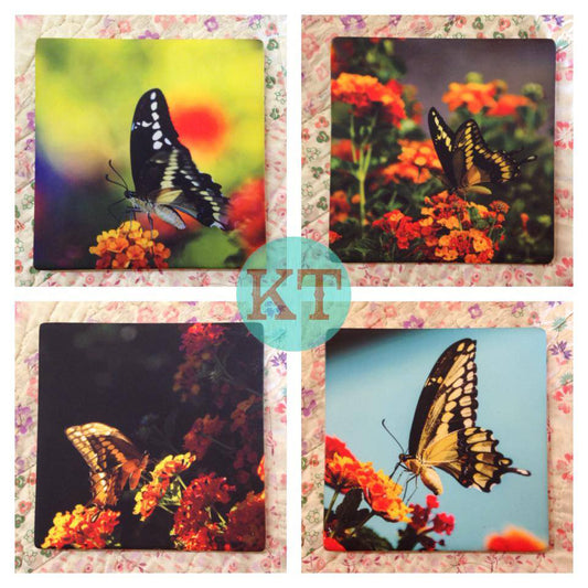 Butterfly Coasters - Set Of Four