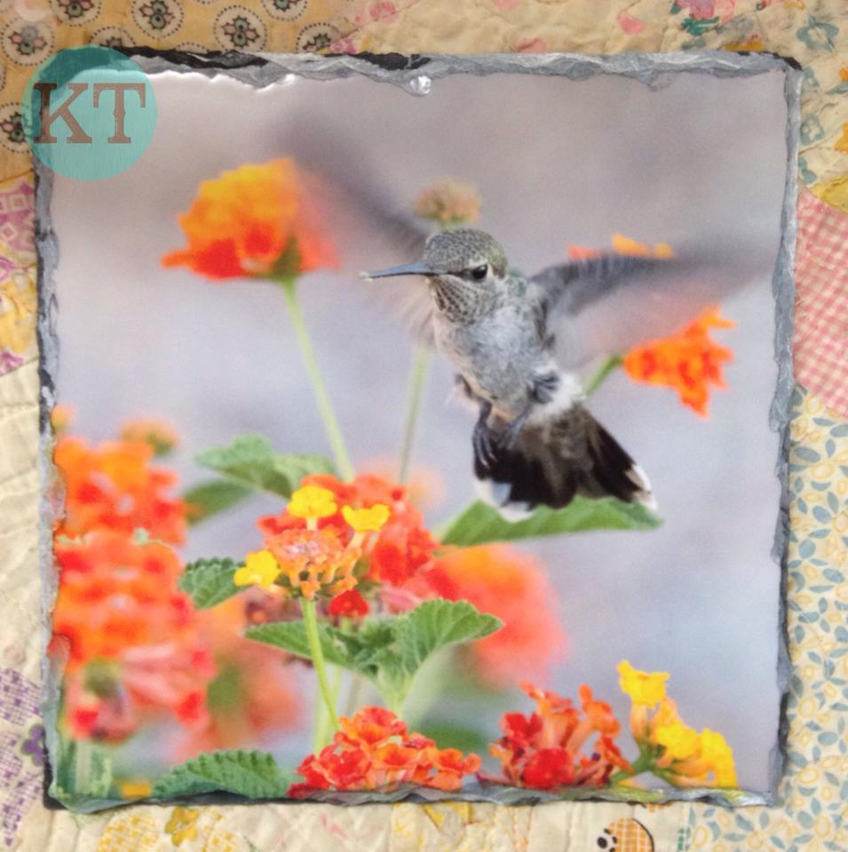 Hummingbird & Flowers Square Slate