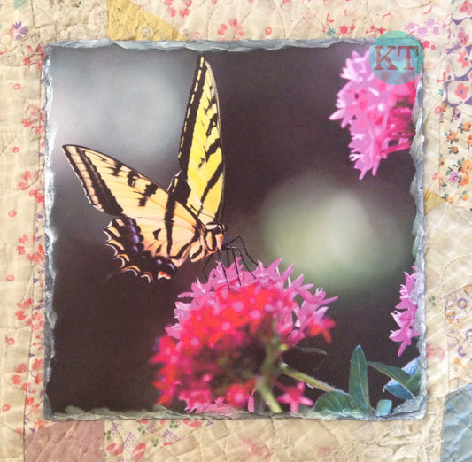 Butterfly Square Slate