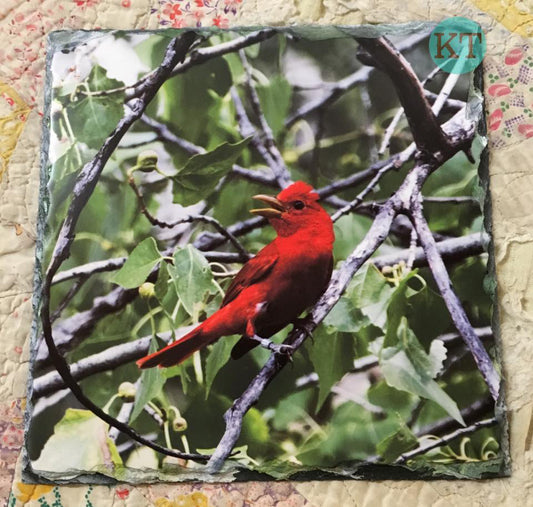 Summer Tanager Square Slate