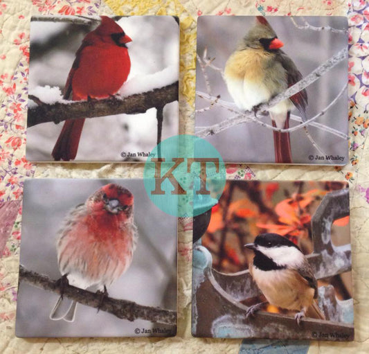 Bird Coasters - Set Of Four