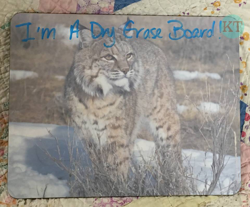 Bobcat 8"x10.3" Dry Erase Board