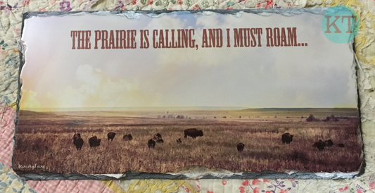 The Prairie Is Calling... Medium Slate