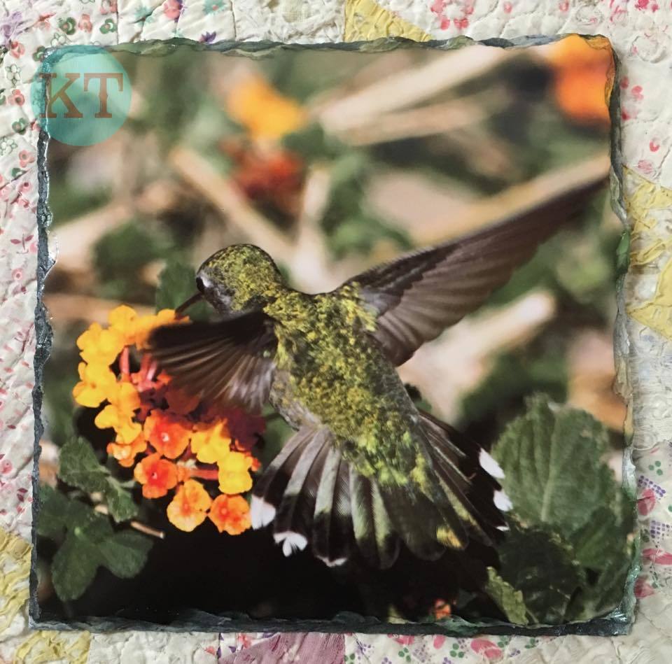 Hummingbird Square Slate