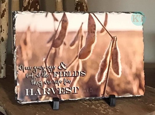 Harvest Large Slate
