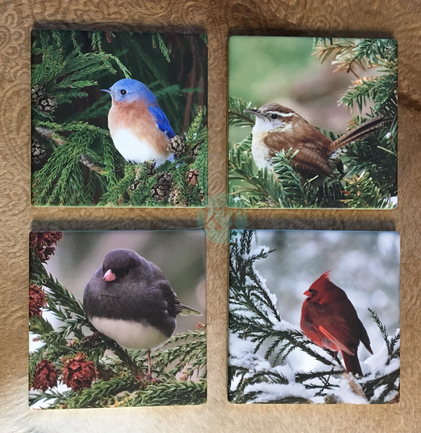 Bird Coasters - Set Of Four